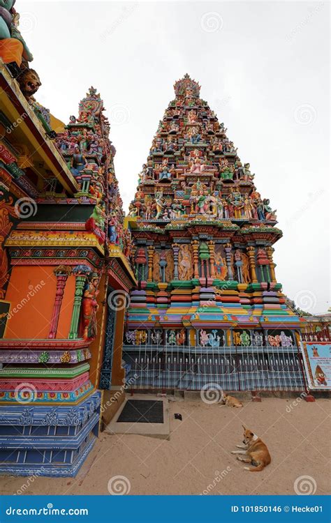 Hindu Temple of Trincomalee in Sri Lanka Stock Photo - Image of india, hinduism: 101850146