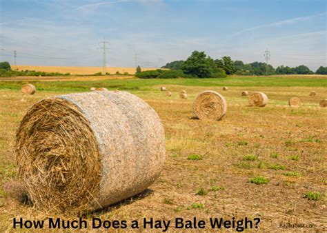 standard hay bale sizes