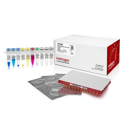 Thermo Scientific Invitrogen Collibri Stranded RNA Library Prep Kit