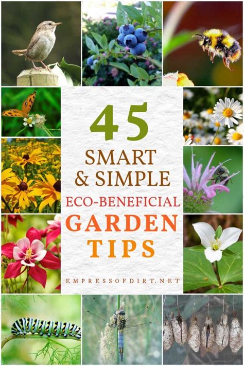 45 Ridiculously Simple Helpful Eco Beneficial Garden Tips Empress