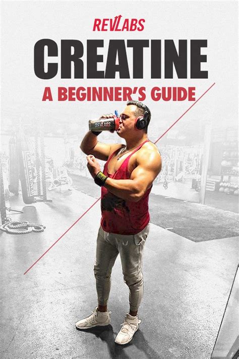 Creatine A Beginners Guide Creatine Beginners Guide Beginners