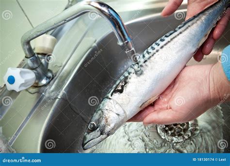 drain  fish  washing  jordan moncrieff blog