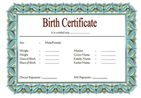 Cute Birth Certificate Template 16 Complete Designation