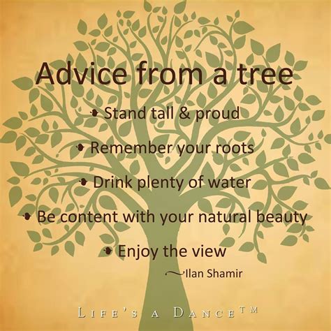 Advice From A Tree Poetry Pinterest Wisdom Truths And Thoughts