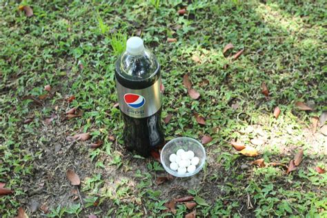 Easy Coke and Mentos Experiment Lesson Plan