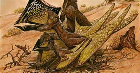 Pterosaur Colony Found In Brazil