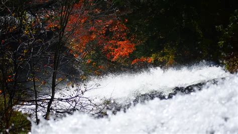 Look at the Dynamic Waterfall Stock Footage Video (100% Royalty-free ...