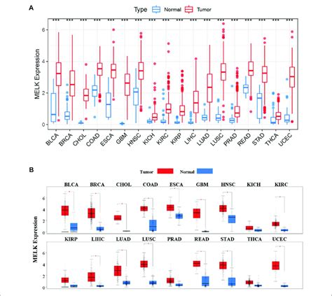 Pan Cancer Analysis Of MELK Expression In TCGA Database A