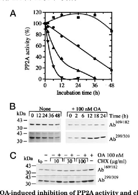 Figure 2 From Differential Inhibition And Posttranslational