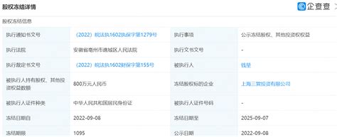 三巽集团钱堃所持800万元股权遭司法冻结投资上海显示