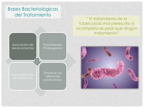 Tratamiento Tuberculosis Pulmonar