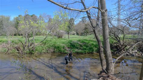 Cape Fear watershed project makes a splash across disciplines - UNC Greensboro