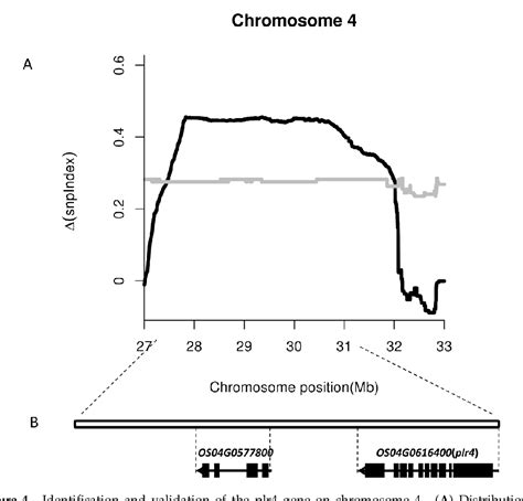 Figure 4 From Mapping And Identifying A Candidate Gene Plr4 A