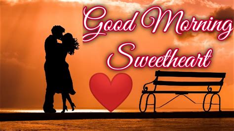 ️good Morning Sweetheart ️ Good Morning Video Song Romantic Good Morning Status Good