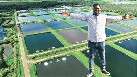 Biggest Catfish Farm In Ghana West Africa 150000 Catfish Farm