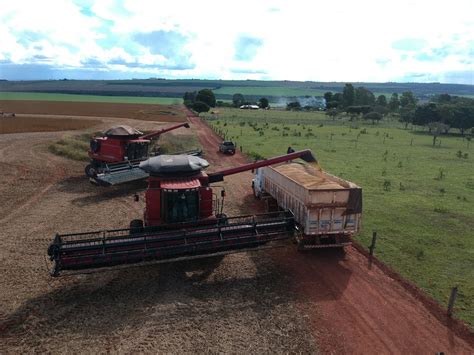 Zhang Meifang On Twitter Brazil Will Have A Record Harvest Of Cereals