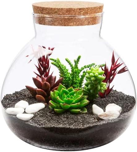 Yangbaga Terrarium Glass Jar With Lid For Plants Grow Your Own Large