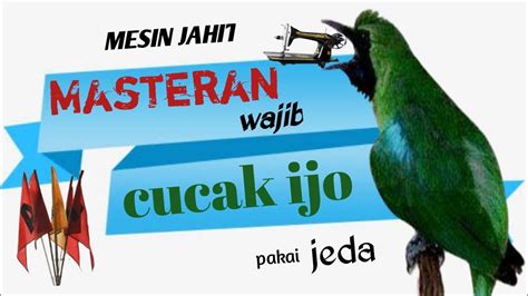 Masteran Mesin Jahit Isian Wajib Cucak Ijo Youtube