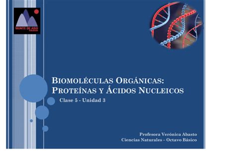 Biomoléculas orgánicas proteínas y ac nucleicos