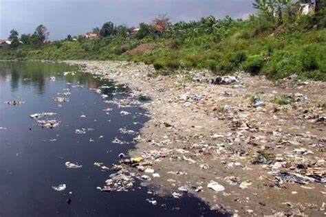 Gambar Pencemaran Sungai 48 Koleksi Gambar