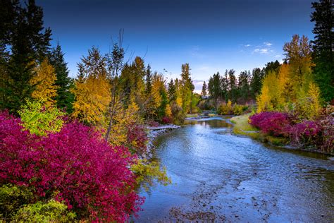 Kalispell Real Estate