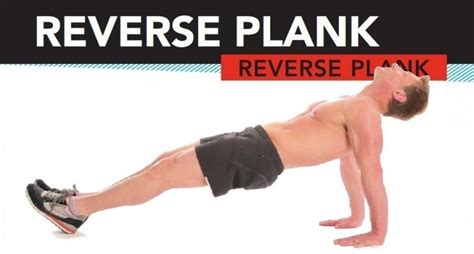 Reverse Plank Exercise Guide And Tips • Bodybuilding Wizard