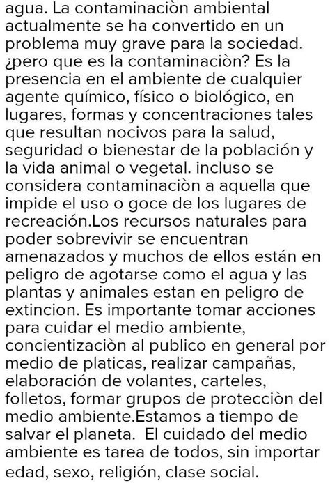 Fin Es un ensayo acerca de la contaminación ambiental Brainly lat