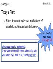 Cell Communication POGIL Signal Transduction Pathways Docx Model 1