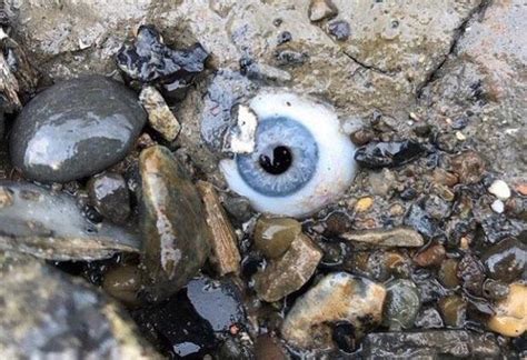 Eye In The Stone Roddlyterrifying