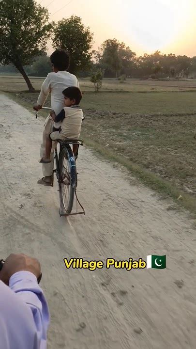 Village Life Punjab Pakistan 🇵🇰🌾🌿🥀🥀🌲villagelife Village Nature