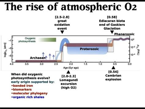 Great Oxygenation Event Question Youtube