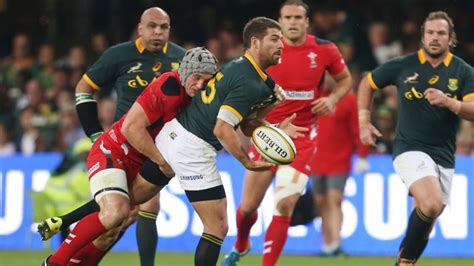 Willie le Roux puts on a show as Springboks outmuscle Wales – The Irish ...