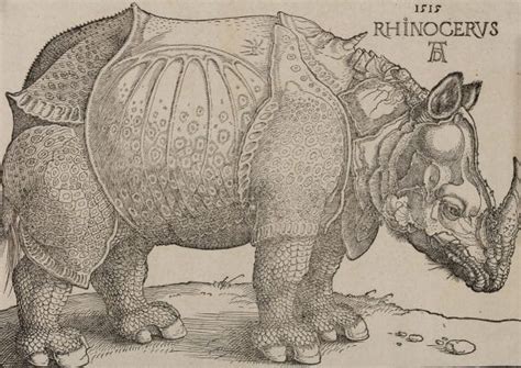 Tra Rinoceronti Streghe E Apocalissi Le Incredibili Incisioni Di