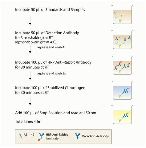 Amyloid Beta Human Elisa Kit Thermo Fisher Scientific