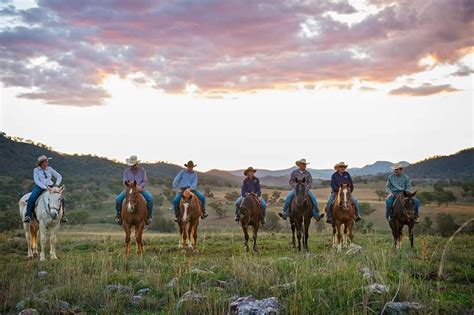 Tamworth Kootingal Horse Riding Adventures Tourist Attraction Trail