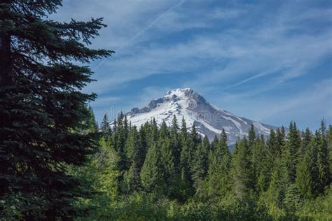 Mt Hood And Portland City Stock Photo Image Of Enjoy 186431838