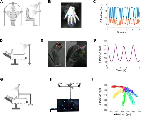 Frontiers Deep Learning Based Markerless Motion Tracking As A