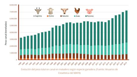 Hay Zonas De Espa A Con El Doble De Cerdos Que De Poblaci N Sabemos