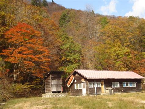 《冬季入林不可》芦生研究林（芦生の森） 京都 美山ナビ 京都 美山ナビ 日本の原風景が残る京都・美山町の観光情報サイト