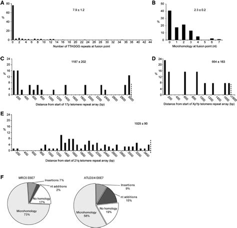 Illustrating The Mutational Profile That Accompanies Telomere Fusion In