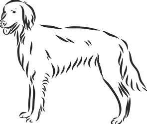 Irish Setter Silhouette Vector Images (94)