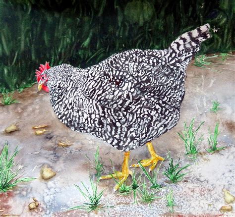 Ms Sassy Painting By Joann Perry Fine Art America