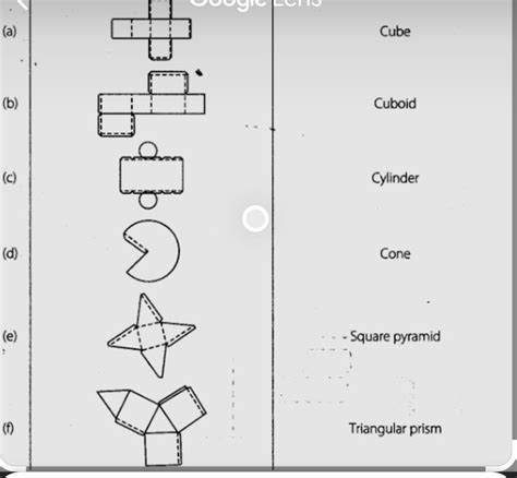 Draw The Net Of The Following Figures Cube Cuboid Cone Cylinder Square