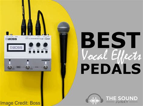 7 Best Vocal Effects Pedals In 2023 | The Sound Junky