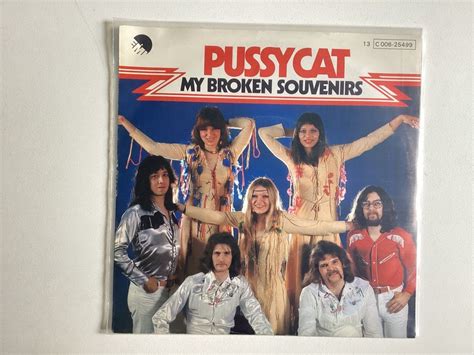 Pussycat Single My Broken Souvenirs Nothing To Hide Kaufen Auf