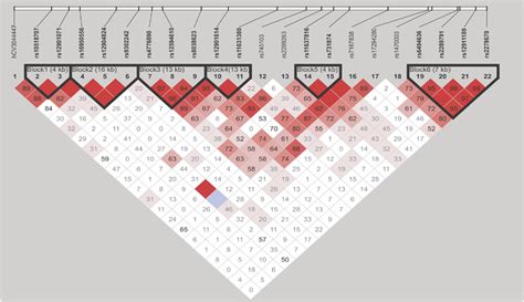 Pairwise Linkage Disequilibrium Ld Haploview Plot For Single