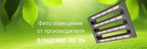 Фитосветильники, фитолампы и фитолента в России. | Компания "ООО ...