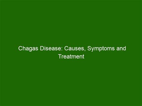 Chagas Disease Causes Symptoms And Treatment Health And Beauty