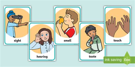 The Five Senses Flashcards öğretmen Yaptı Twinkl