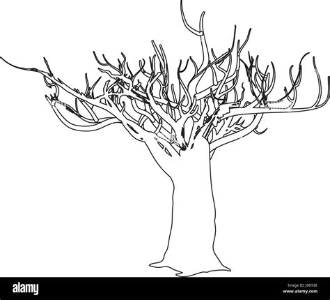 Dry Tree Silhouette Stock Vector Image Art Alamy